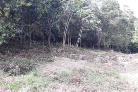 Residential Lot for Sale in Mandeville