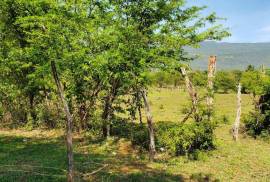 Residential Lot for Sale in Santa Cruz