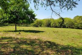 Residential Lot for Sale in Santa Cruz