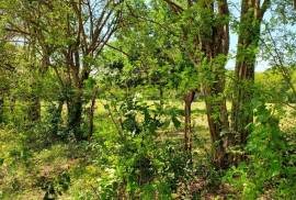 Residential Lot for Sale in Santa Cruz