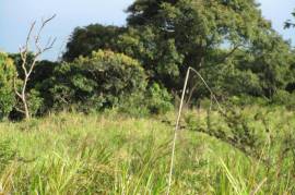 Residential Lot for Sale in Boscobel