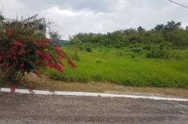 Residential Lot for Sale in Negril