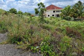 Residential Lot for Sale in Mandeville