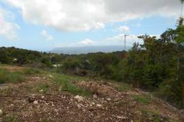 Residential Lot for Sale in Cross Keys