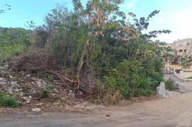 Residential Lot for Sale in Kingston 19