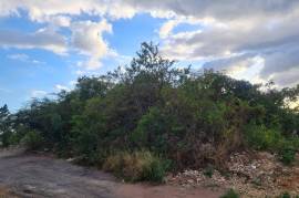 Residential Lot for Sale in Kingston 19