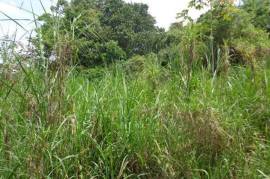 Residential Lot for Sale in Red Hills