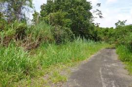 Residential Lot for Sale in Red Hills