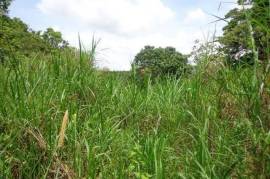 Residential Lot for Sale in Red Hills