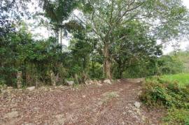 Residential Lot for Sale in Lime Hall