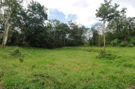 Residential Lot for Sale in Lime Hall