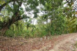 Residential Lot for Sale in Lime Hall