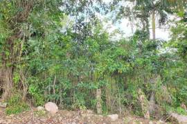 Residential Lot for Sale in Lime Hall