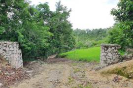 Residential Lot for Sale in Lime Hall