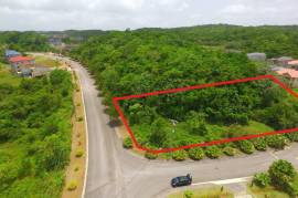 Residential Lot for Sale in Mandeville