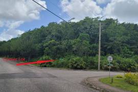 Residential Lot for Sale in Mandeville