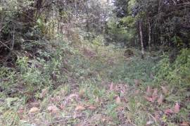 Residential Lot for Sale in Kingston 19