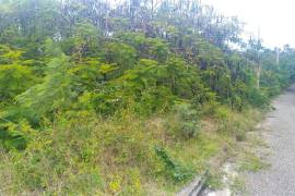 Residential Lot for Sale in Montego Bay