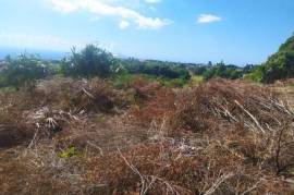 Residential Lot for Sale in Top Hill