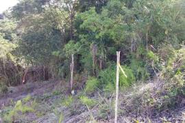 Residential Lot for Sale in Montego Bay