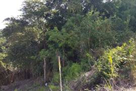 Residential Lot for Sale in Montego Bay