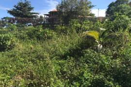 Residential Lot for Sale in Fairy Hill