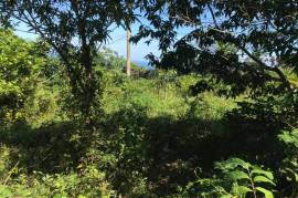 Residential Lot for Sale in Fairy Hill