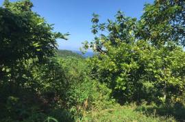 Residential Lot for Sale in Fairy Hill