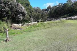 Residential Lot for Sale in Tower Isle