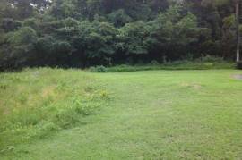 Residential Lot for Sale in Tower Isle