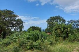 Residential Lot for Sale in Duncans