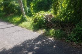 Residential Lot for Sale in Negril