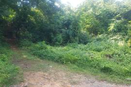 Residential Lot for Sale in Negril