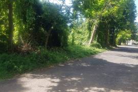 Residential Lot for Sale in Negril