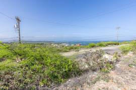 Residential Lot for Sale in Greater Portmore