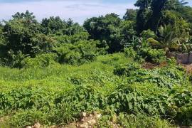 Residential Lot for Sale in Negril