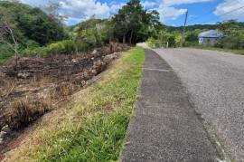 Residential Lot for Sale in Mandeville