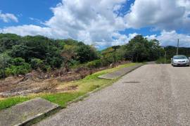 Residential Lot for Sale in Mandeville