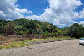 Residential Lot for Sale in Mandeville