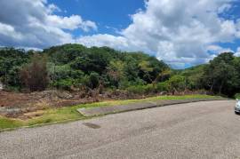 Residential Lot for Sale in Mandeville