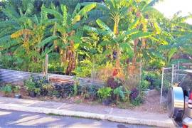 Residential Lot for Sale in Kingston 8