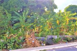 Residential Lot for Sale in Kingston 8