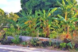 Residential Lot for Sale in Kingston 8