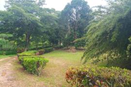 Residential Lot for Sale in Mandeville