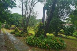 Residential Lot for Sale in Mandeville