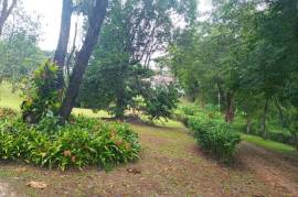 Residential Lot for Sale in Mandeville