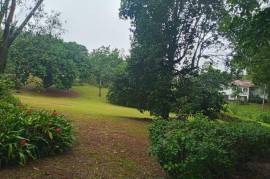 Residential Lot for Sale in Mandeville