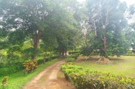 Residential Lot for Sale in Mandeville