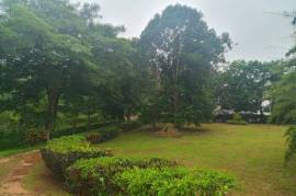 Residential Lot for Sale in Mandeville