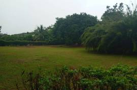 Residential Lot for Sale in Mandeville